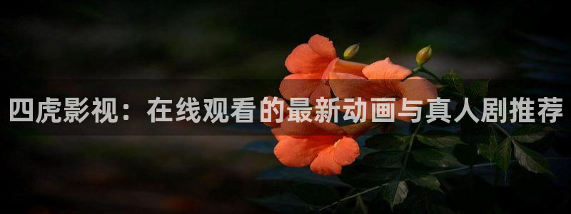 奇优影院在线观看电视剧：四虎影视：在线观看的最新动画与真人剧推荐