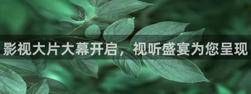 奇优影视2024：影视大片大幕开启，视听盛宴为您呈现