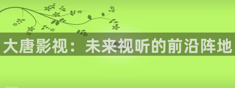 奇优影院手机版本免费观看：大唐影视：未来视听的前沿阵地